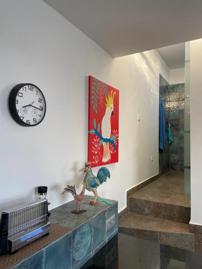Villa Oasis La Paz - Acaymo Loft - Adults Only - Puerto de la Cruz  Ngoại thất bức ảnh