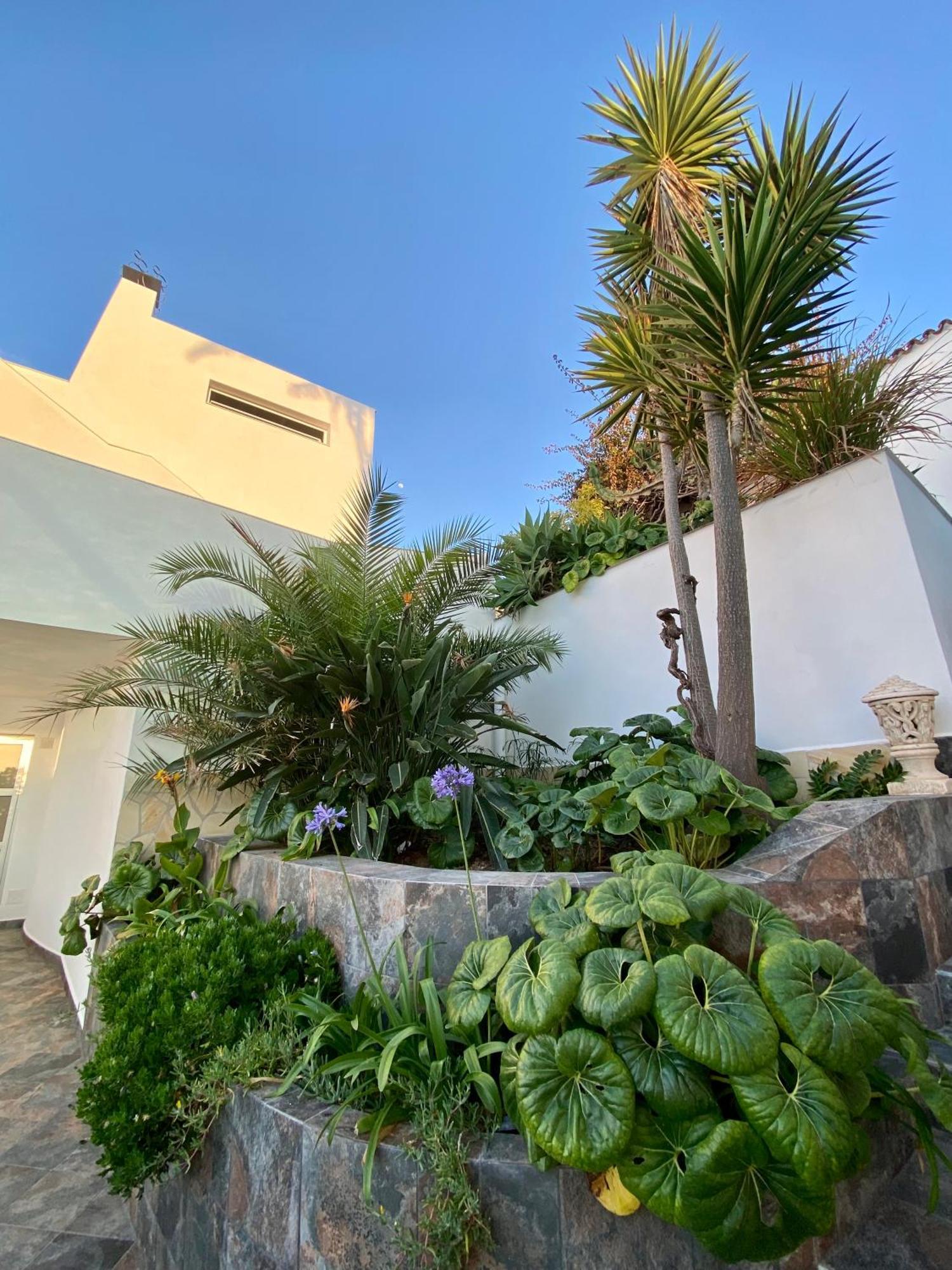 Villa Oasis La Paz - Acaymo Loft - Adults Only - Puerto de la Cruz  Ngoại thất bức ảnh
